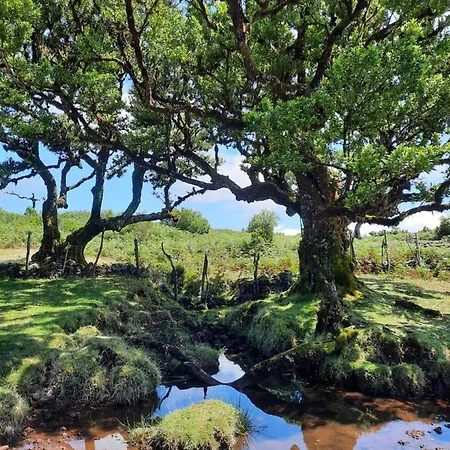 Palheiro Cavalinho * Prazeres