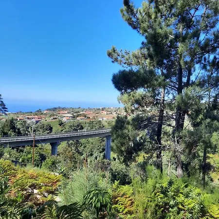 Palheiro Cavalinho Holiday home