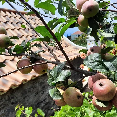 Feriehus Palheiro Cavalinho