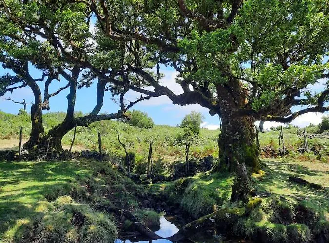 Palheiro Cavalinho * Prazeres