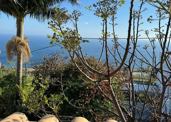 Casa de Férias Palheiro Cavalinho *